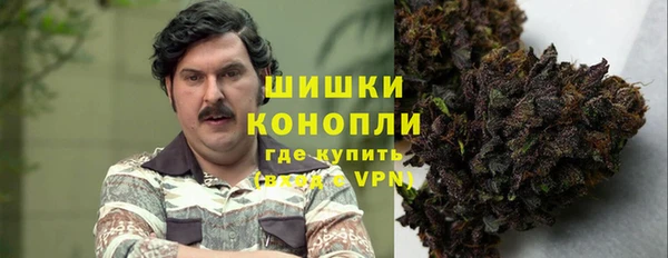 дмт Арсеньев